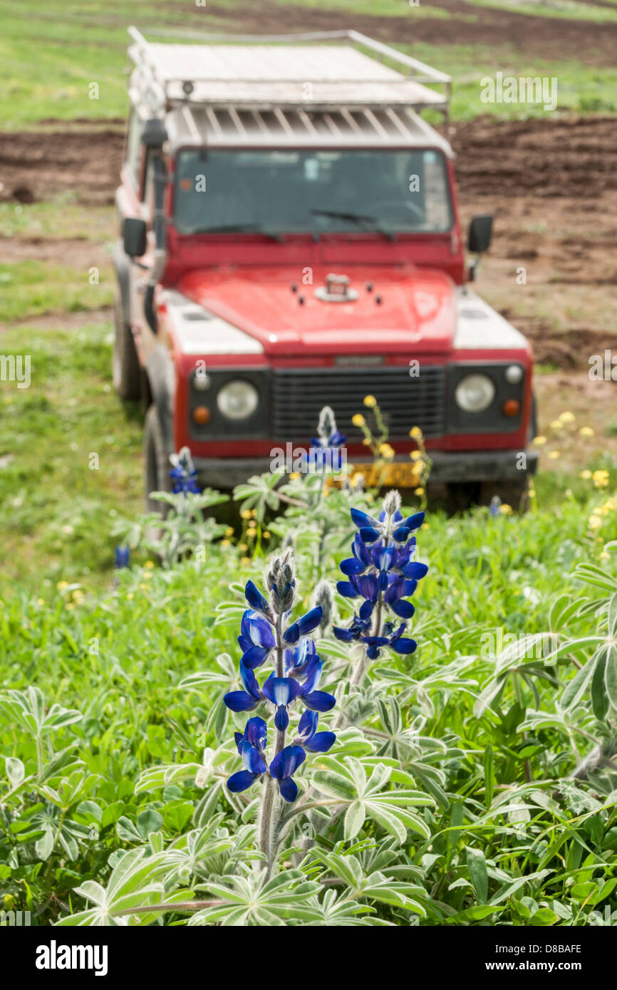 Fields Land Rover >> Golan Heights Israel A Red Land Rover Jeep Parked Between Fields Land Rover >> Golan Heights Israel A Red Land Rover Jeep Parked Between