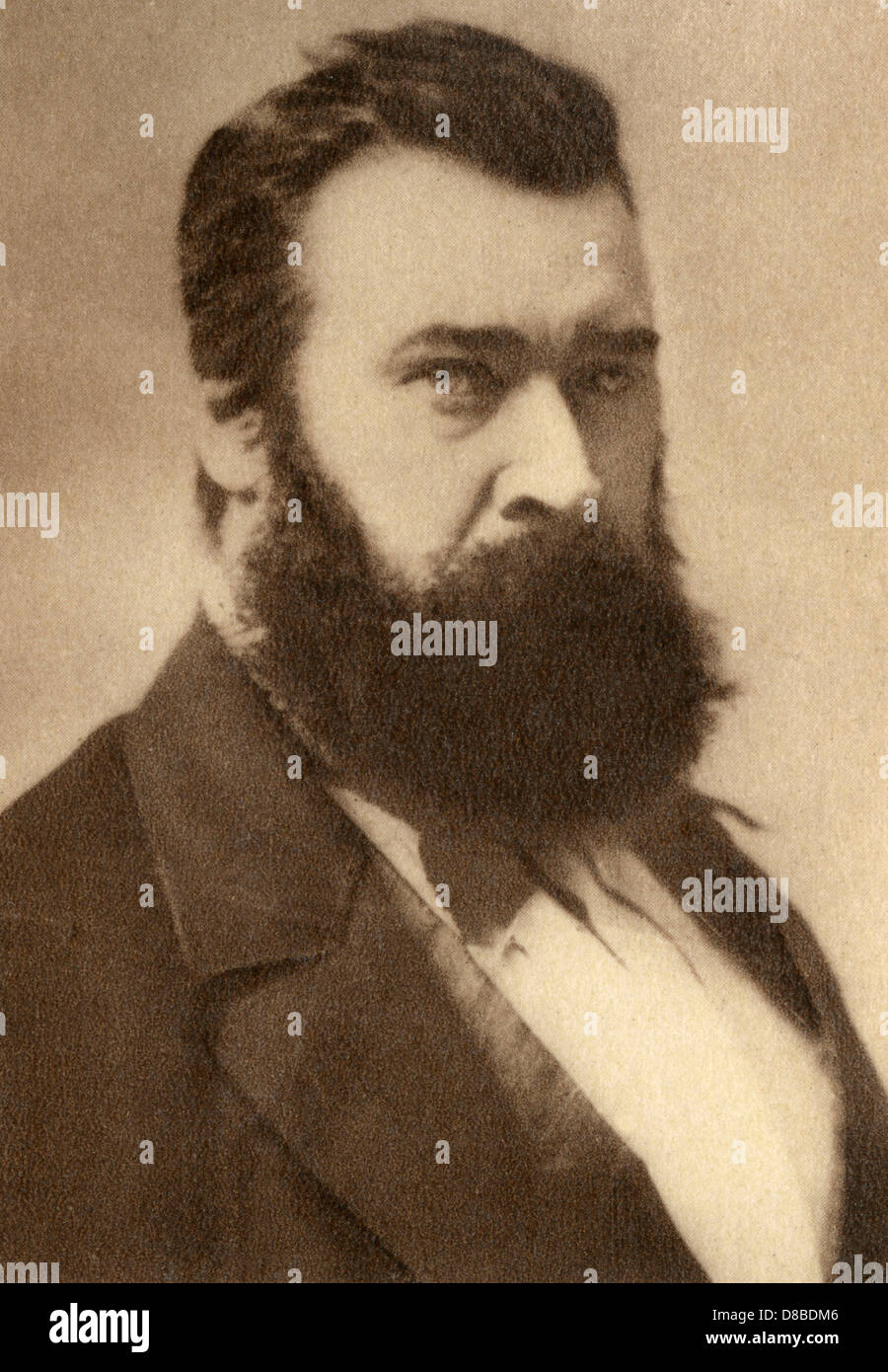 Millet Photo Stock Photo Alamy