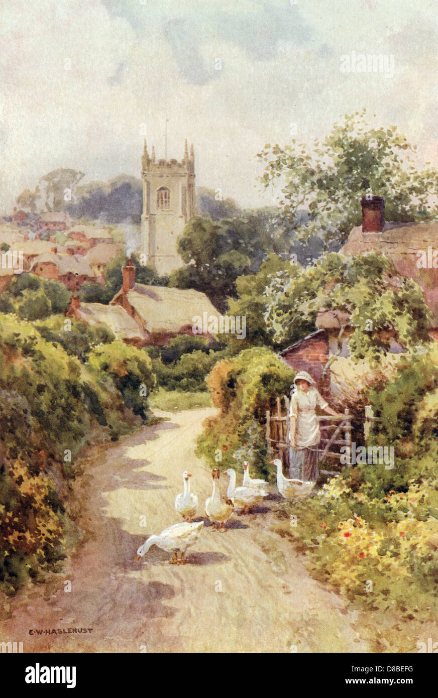 BERE REGIS, DORSET Stock Photo Alamy