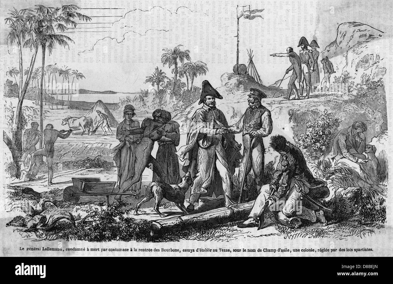 FRENCH OFFICERS IN TEXAS Stock Photo Alamy