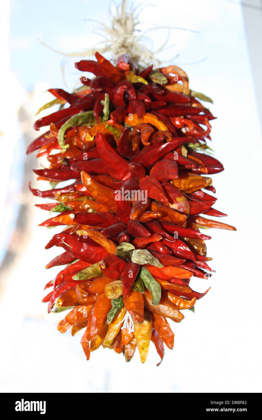 A traditional ristra of chili peppers hangs in a decorative fashion ...