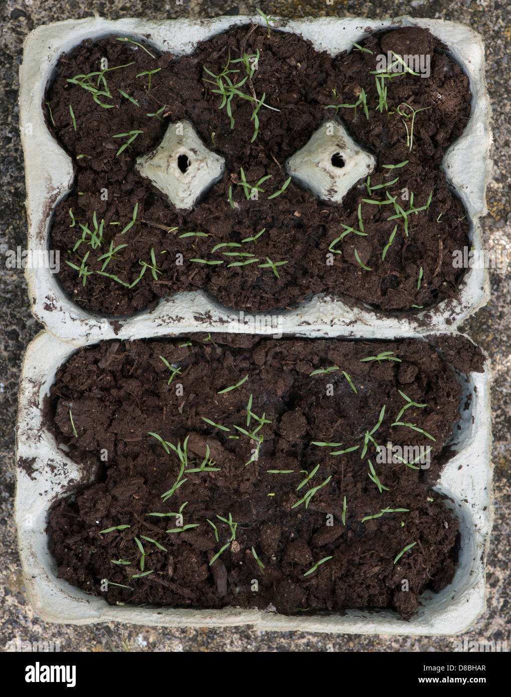 Seed box hires stock photography and images Alamy