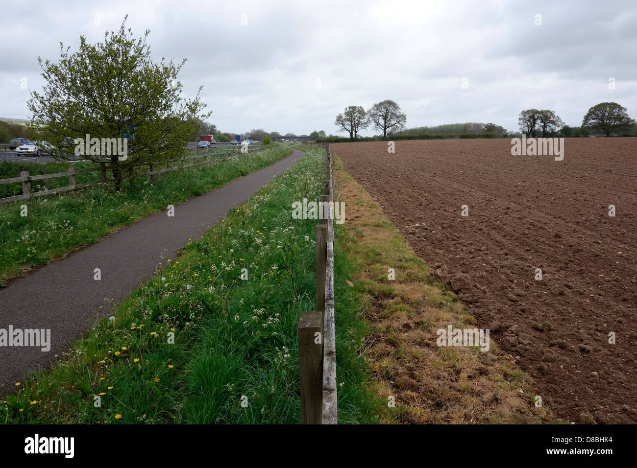 Intensive land use with fields sprayed right up to the fence with