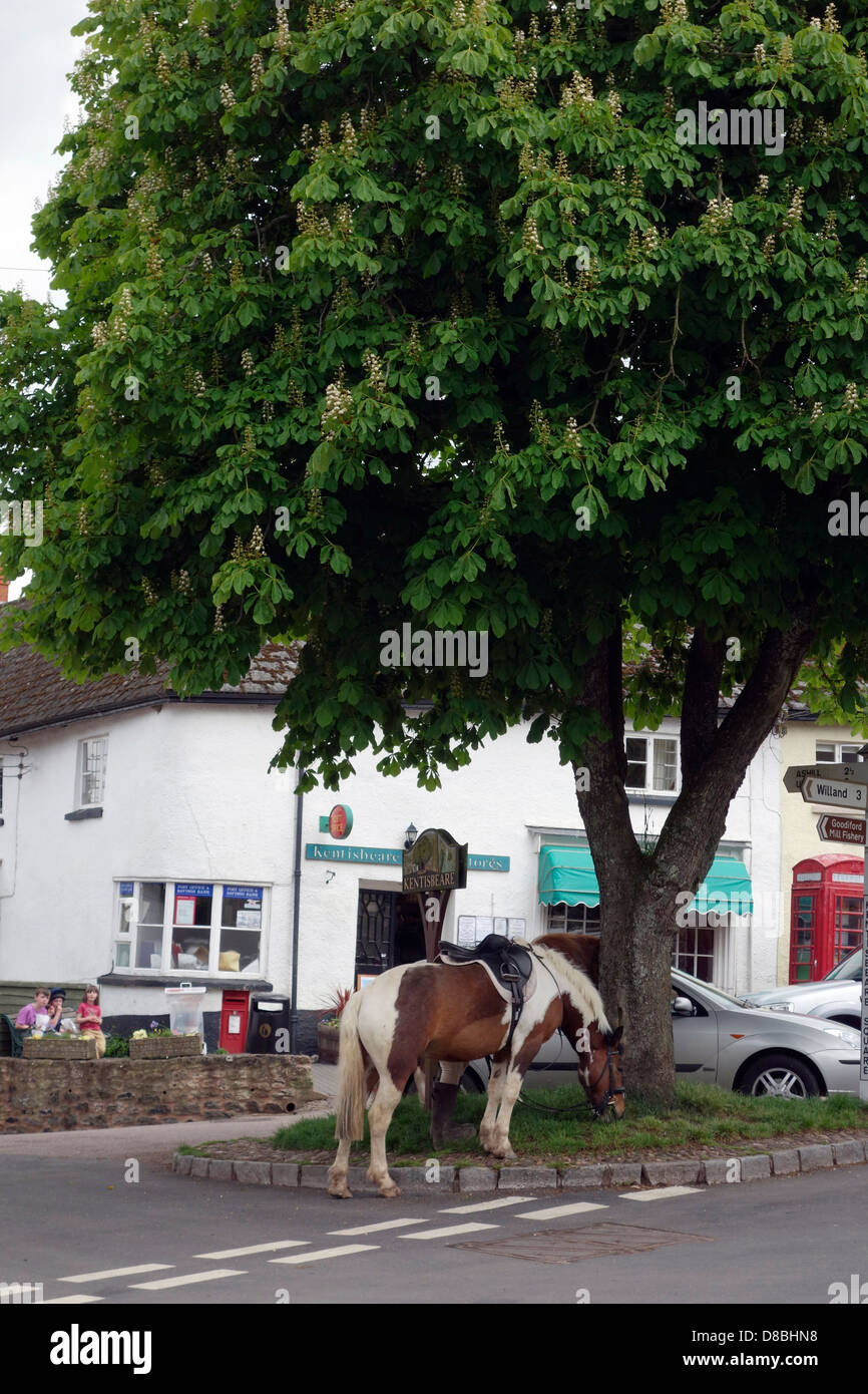 Kentisbeare village centre, Devon with ponies, village stores and post office and red telephone kiosk Stock Photo