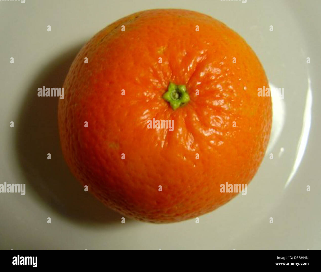 FUTURE TOP - ORANGE