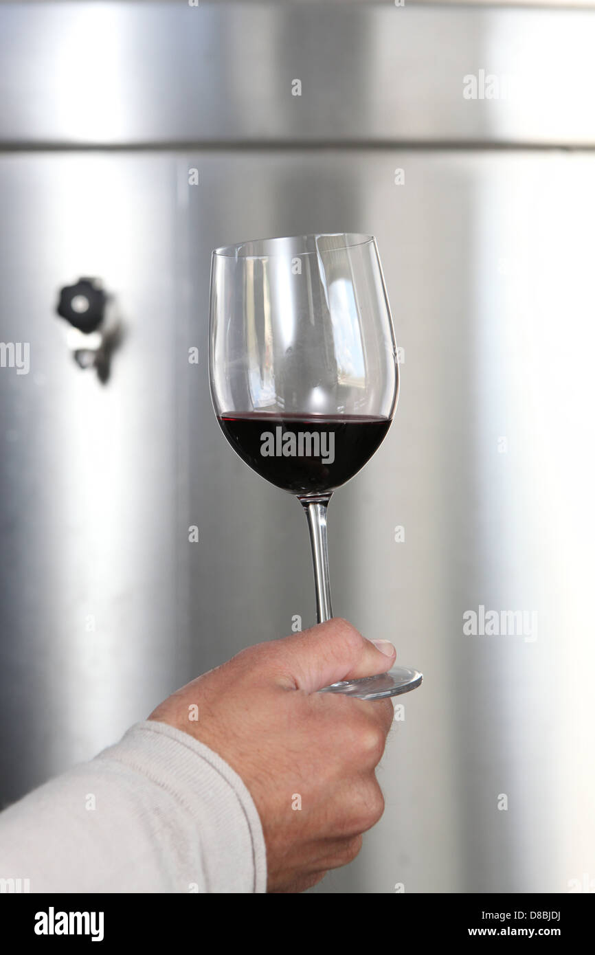 hand holding stemmed glass Stock Photo Alamy
