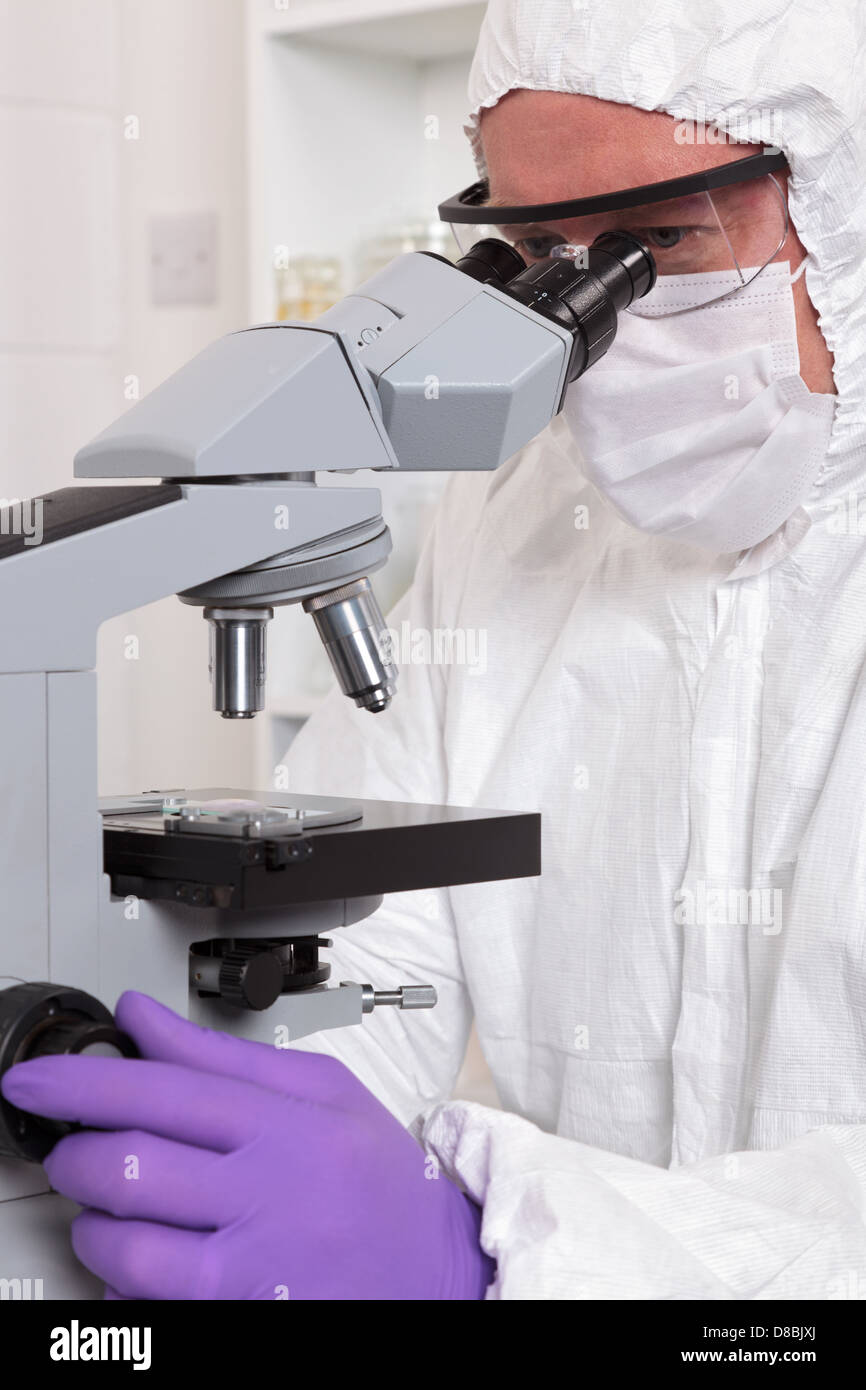 A lab technician adjusting the focus on a microscope whilst looking through the eyepiece Stock Photo