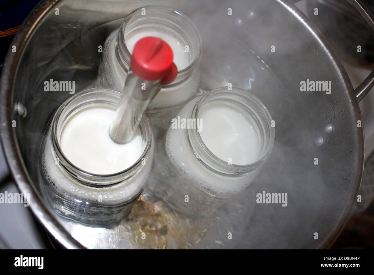 scalding milk in makeshift double boiler. Stock Photo