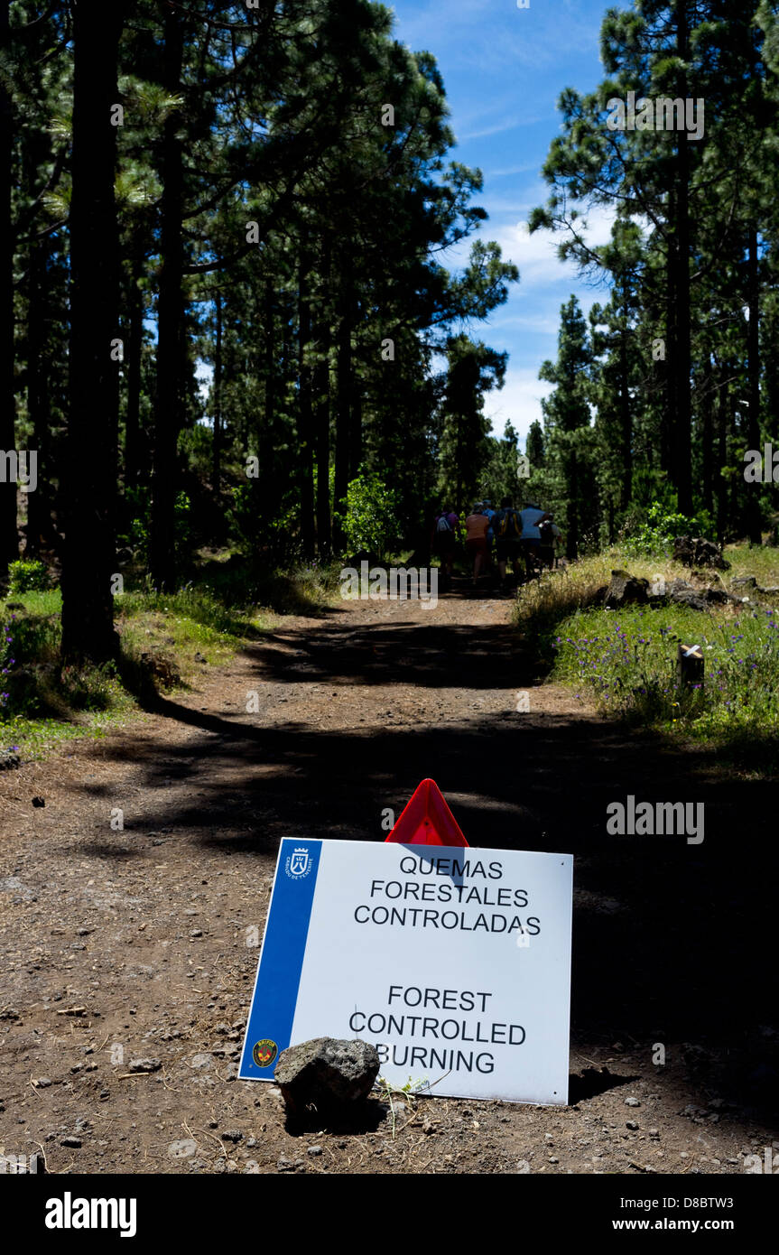 Sign on forest path warning of controlled burning of undergrowth in a pine forest by the Brigada Forestal or BRIFOR near Erjos Stock Photo