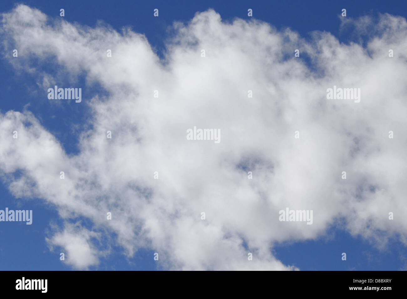 A serene image of white clouds scattered across a bright blue sky. The ...