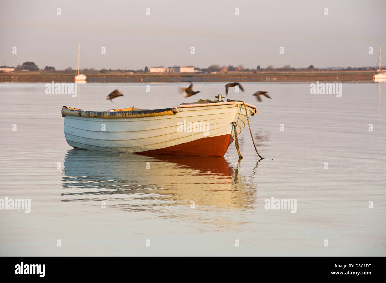 A dinghy in calm waters, with seabirds flying past. Stock Photo