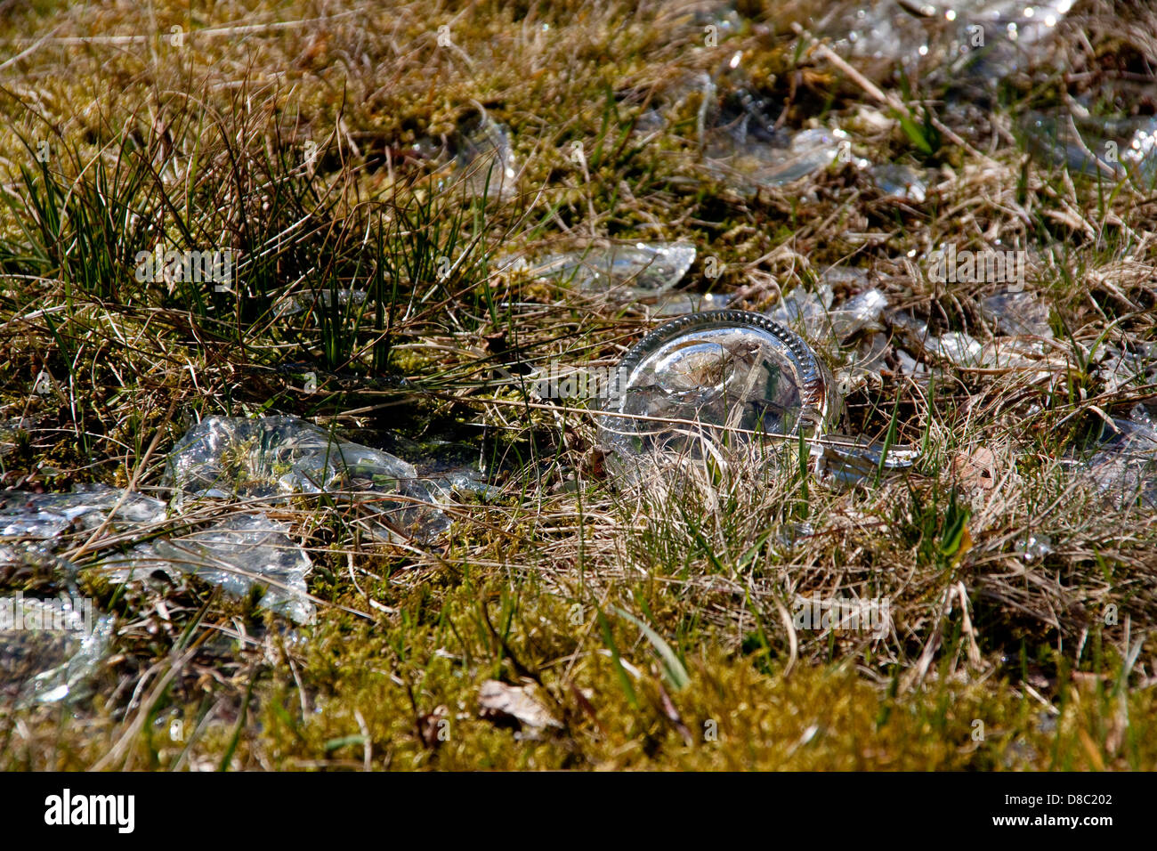 Broken glass bottles on dry grass fire hazard Stock Photo Alamy