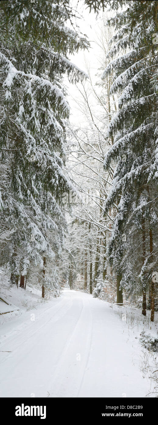 Winter landscape, Upper Palatinate, Bavaria, Germany, Europe Stock Photo