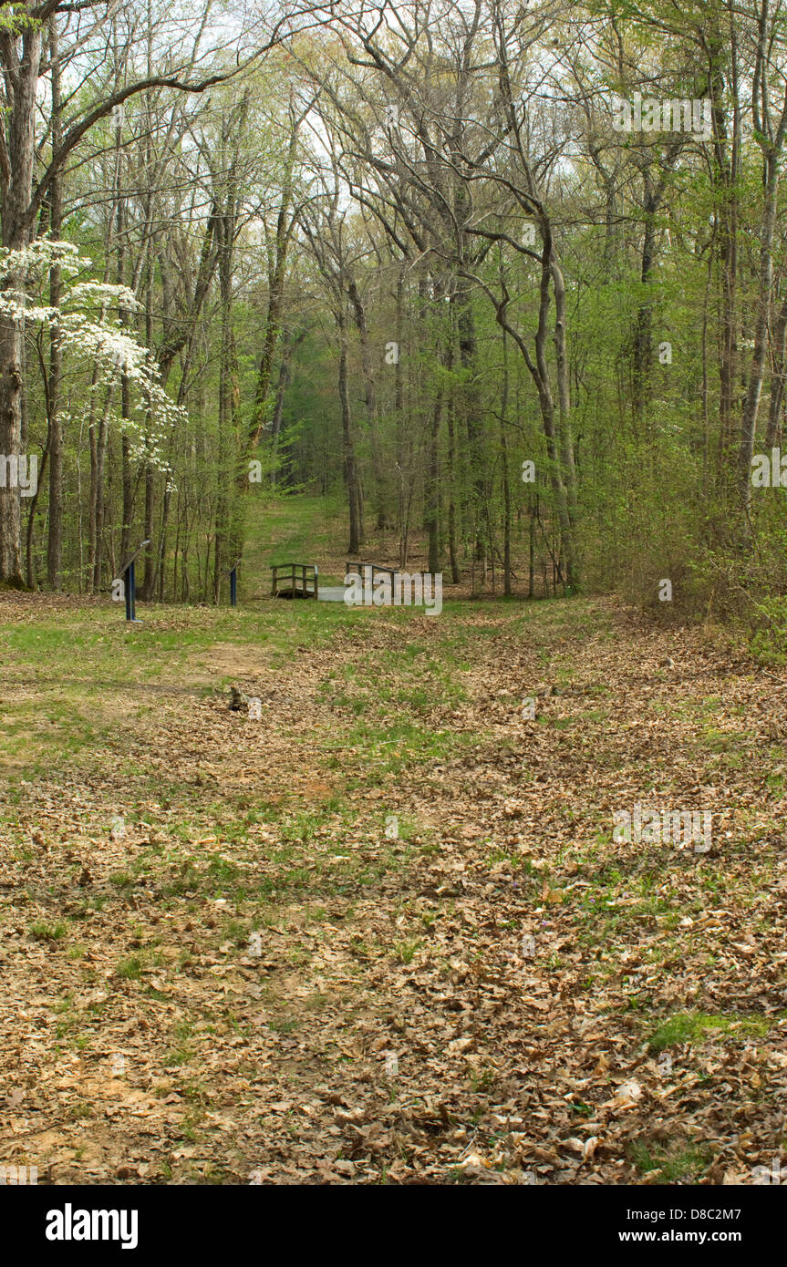 Sunken Road, scene of fighting in the Hornet's Nest on the battlefield at Shiloh National Military Park, Tennessee. Digital photograph Stock Photo