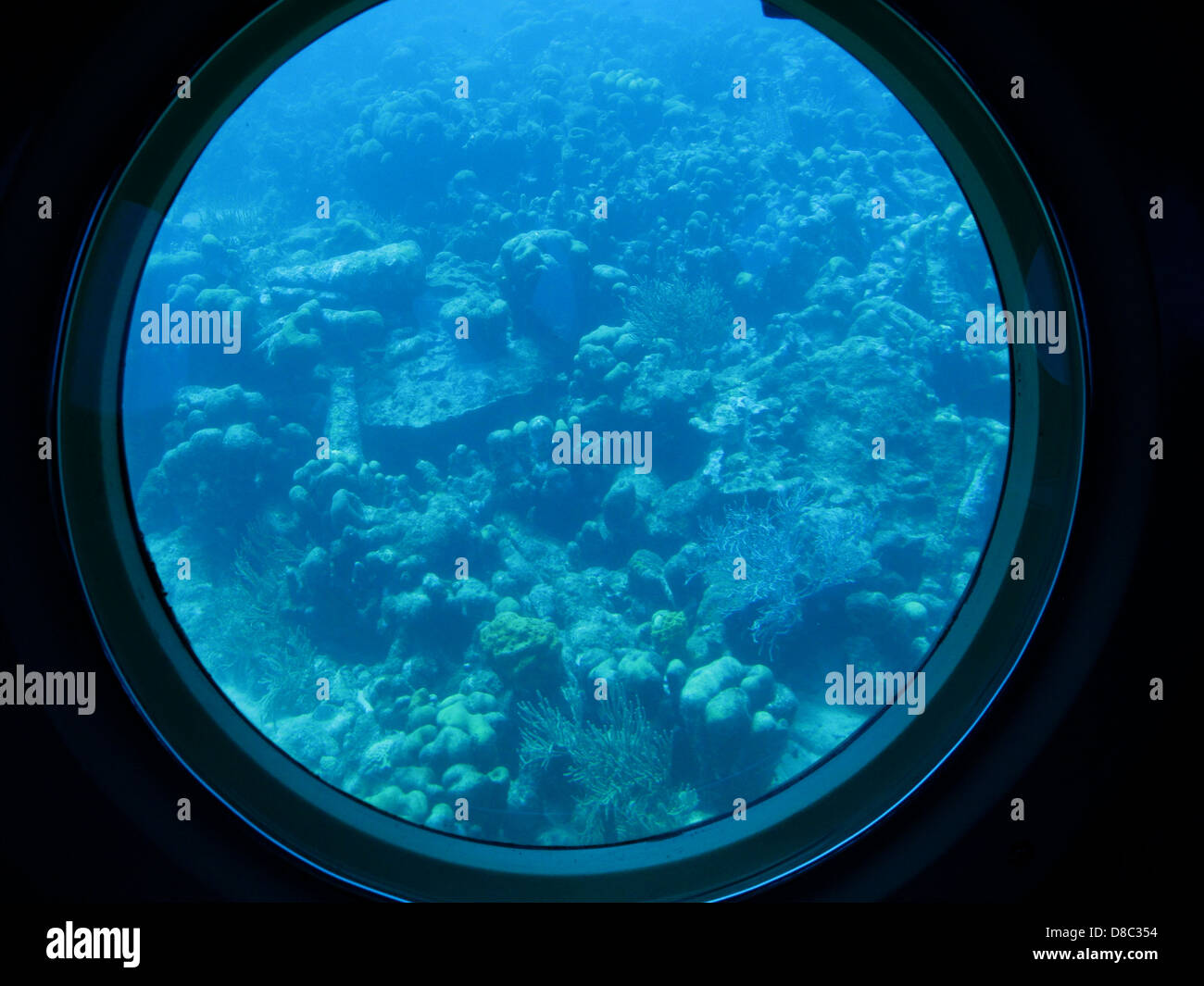 Underwater world Stock Photo