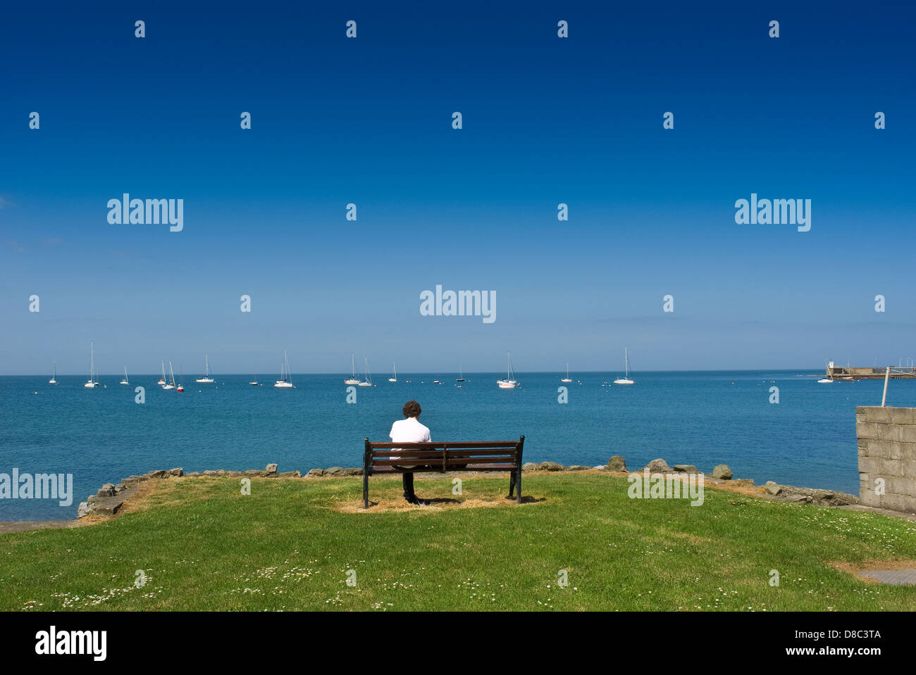 A Man Alone Sitting On A Bench Overlooking The Bay At Skerries