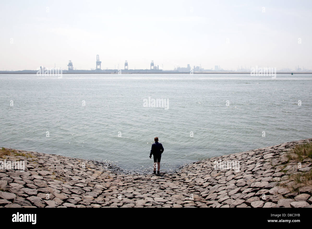 jongen kijkt uit over de Nieuwe Waterweg bij Hoek van Holland Stock Photo Alamy