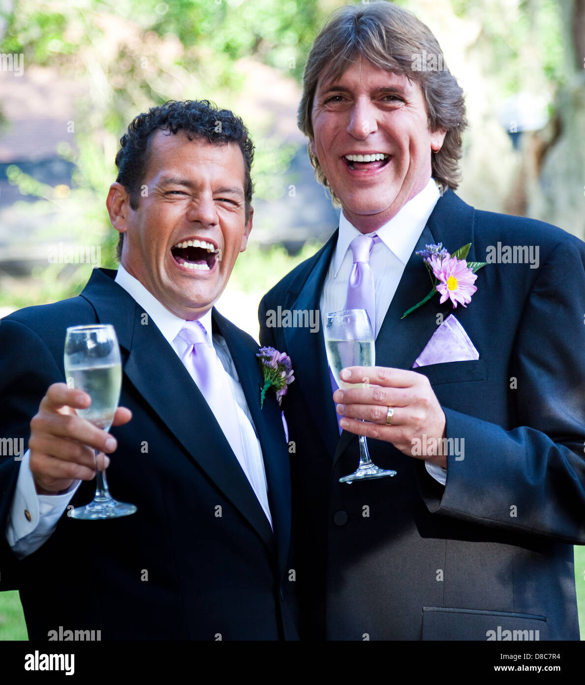 Happy gay wedding couple enjoying champagne and laughing.  Stock Photo