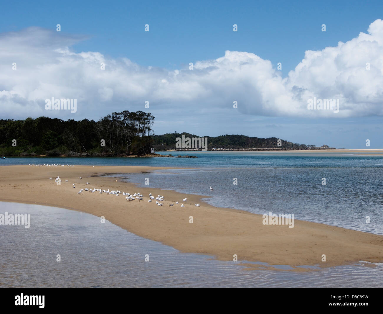 NAMBUCCA HEADS, BEACH, NEW SOUTH WALES, AUSTRALIA Stock Photo Alamy