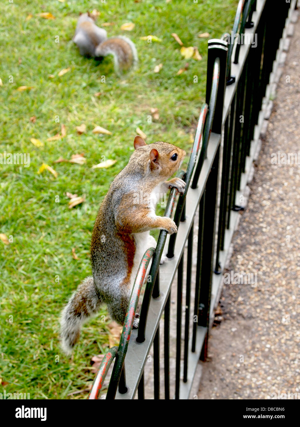 London, St. James's park Stock Photo