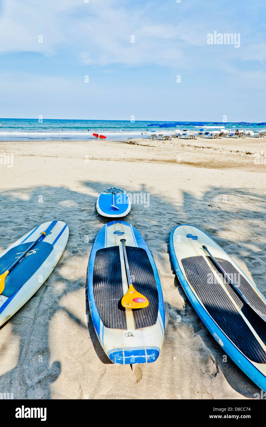 Row of paddle boards on beach Stock Photo
