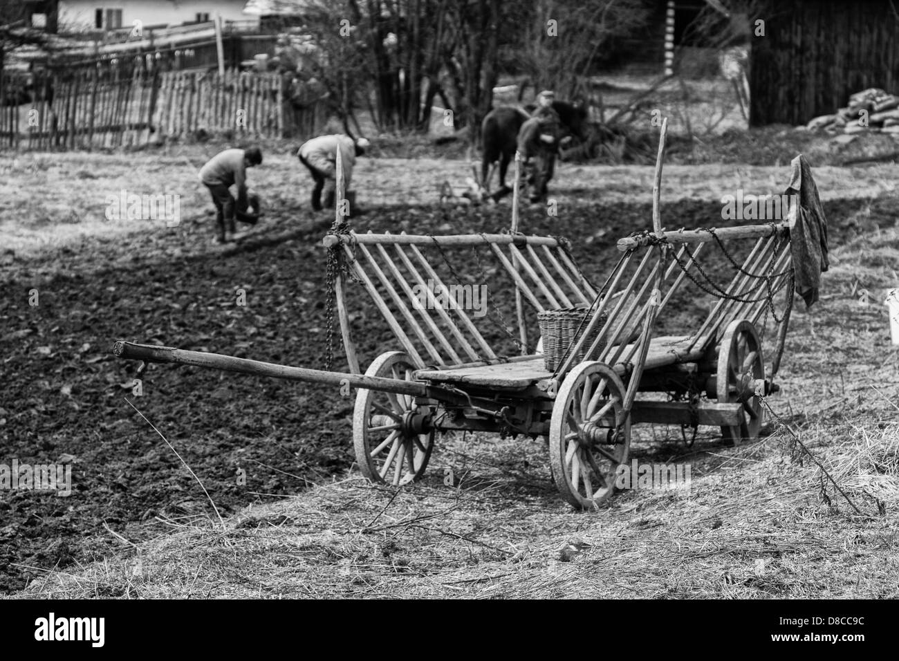 Carriage in the field Stock Photo