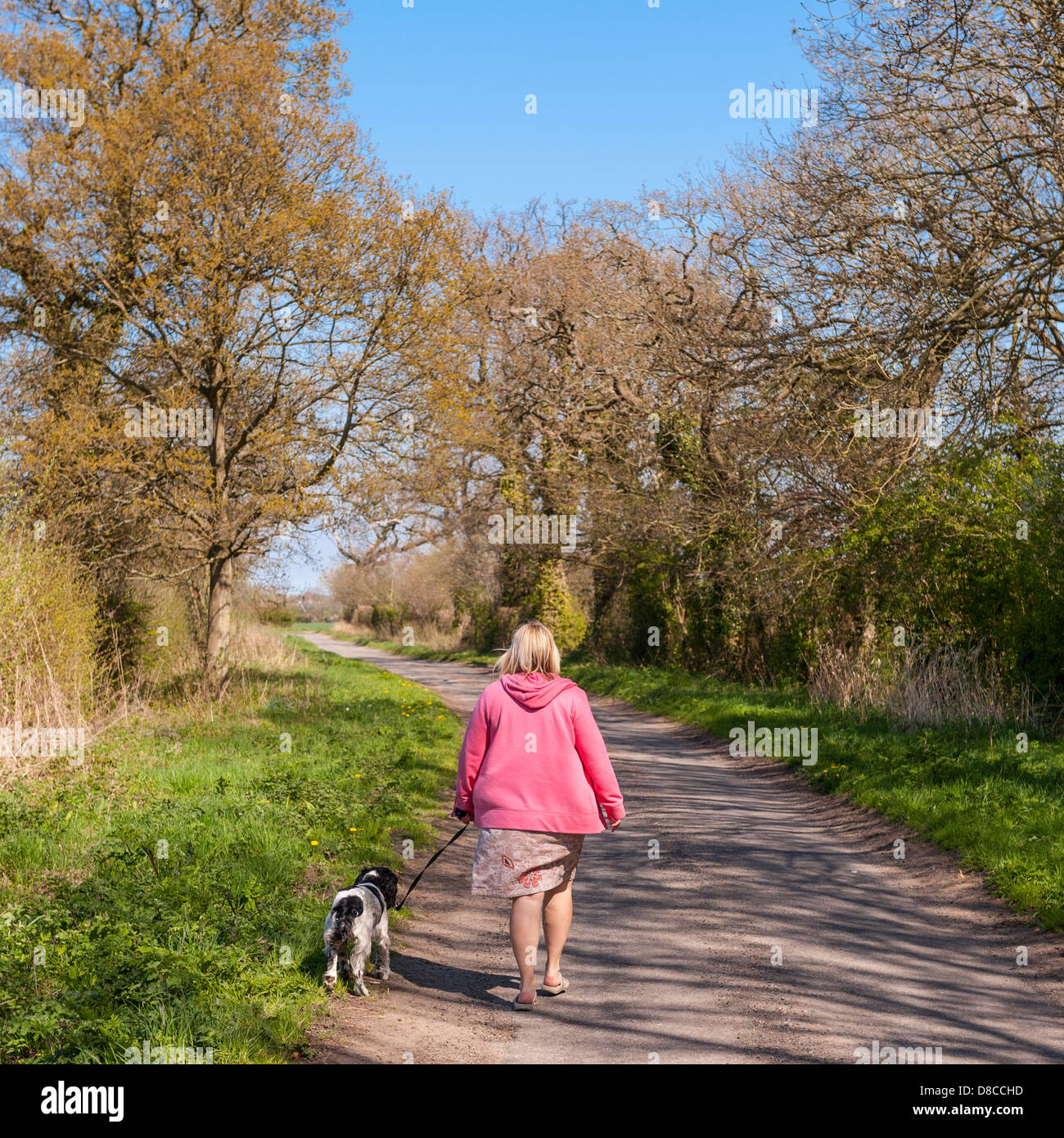 Dog walking uk countryside hires stock photography and images Alamy