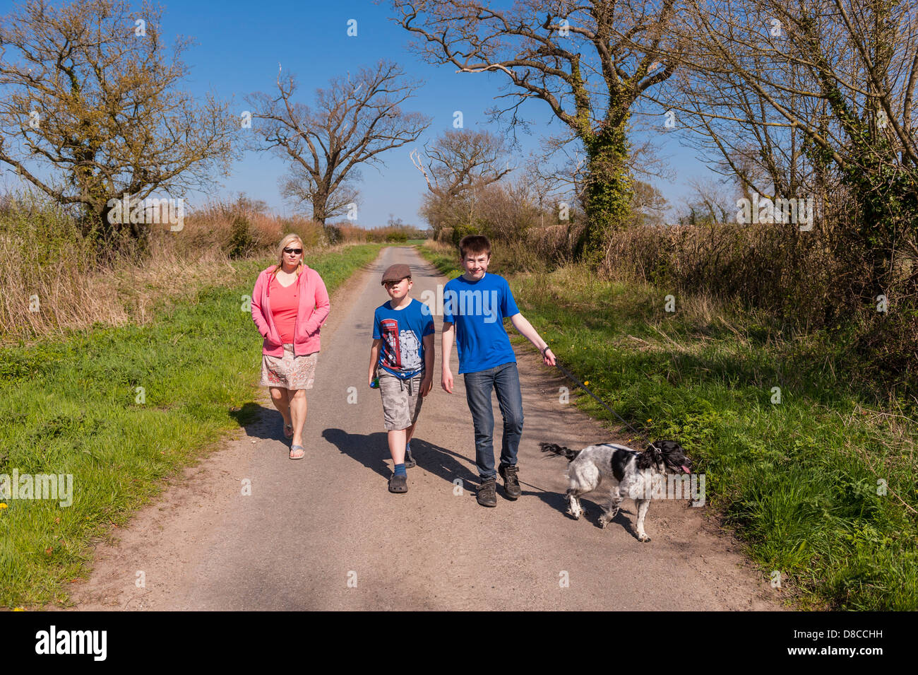 A woman and her two sons walking the dog down a country lane in Sotterley , Suffolk , England , Britain , Uk Stock Photo