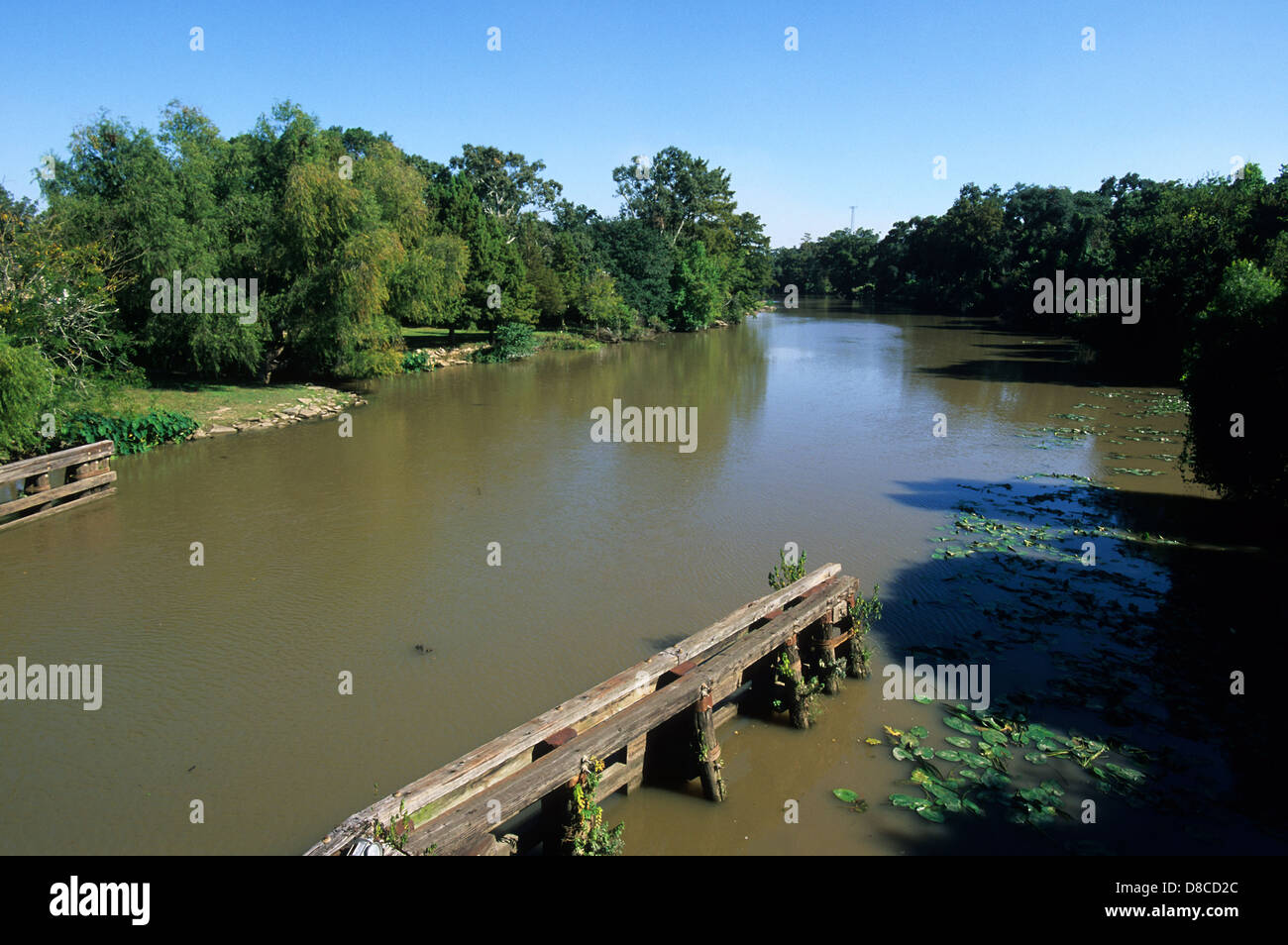 Bayou teche la hires stock photography and images Alamy