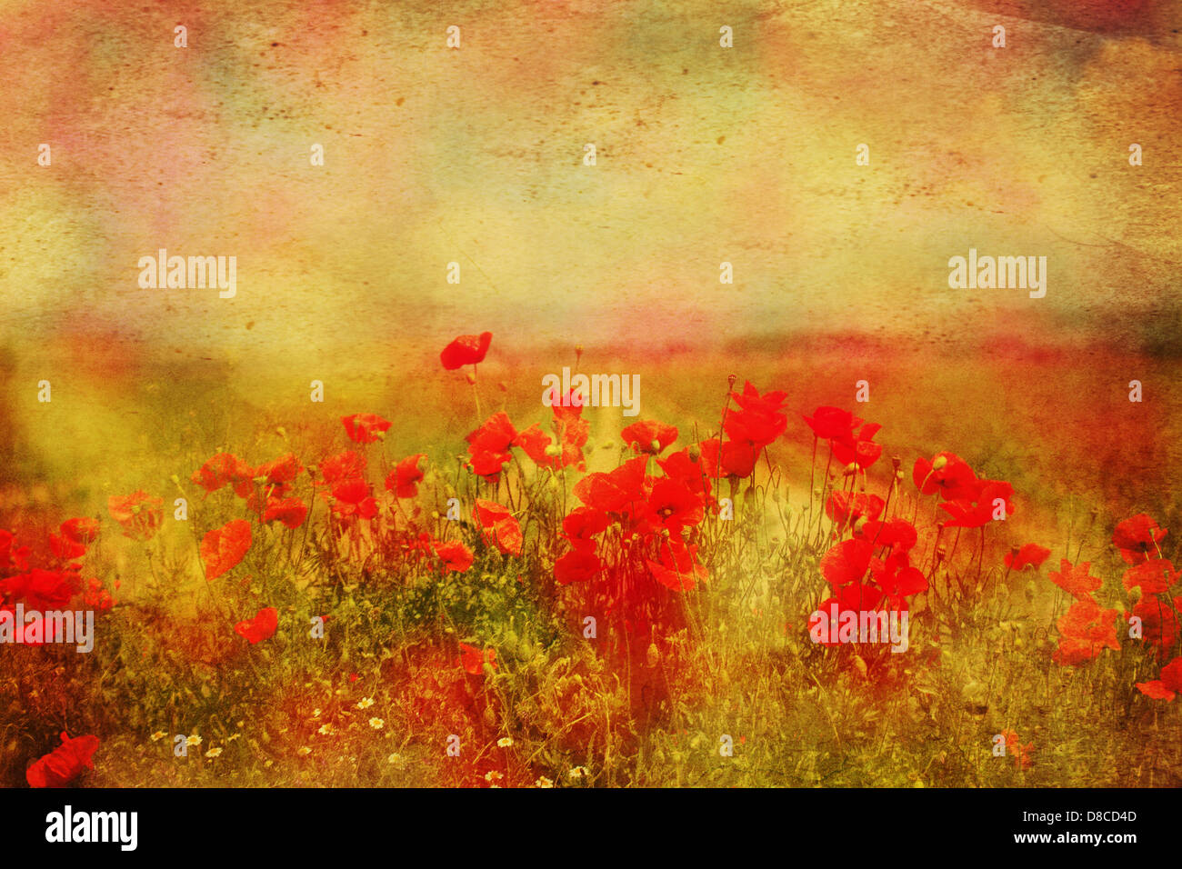 Abstract image poppies in poppy hi-res stock photography and images - Alamy