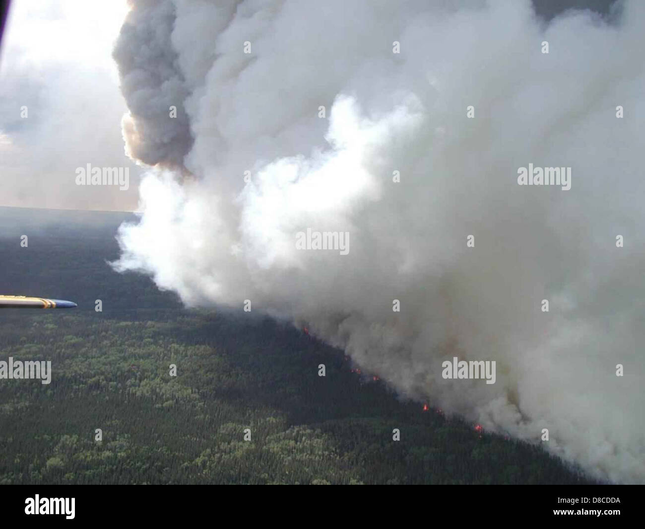 Aerial shot of thick white smoke rising from a forest fire ...