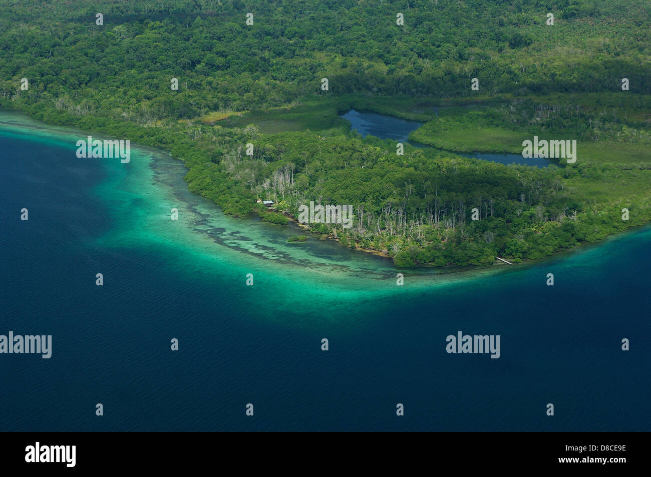 Partial view of Bastimentos island forest and shore Stock Photo