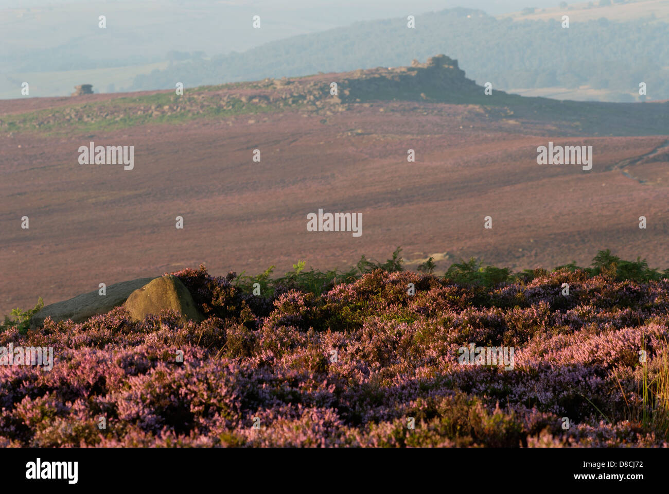 Owler Tor, Derbyshire Peak District Stock Photo