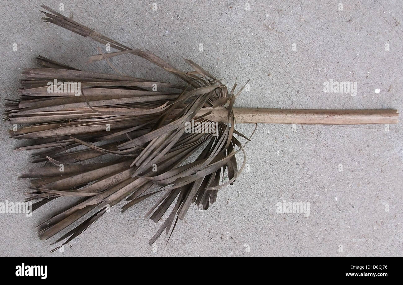 Dead palm leaf Stock Photo Alamy