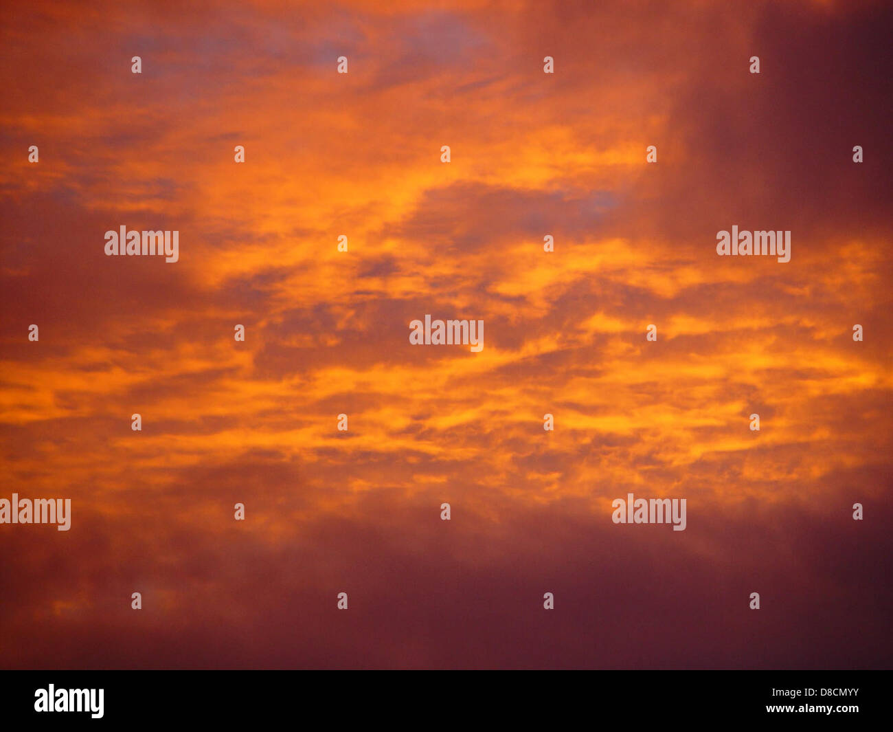 A stock photo of golden clouds in the sky at sunset. The warm, golden ...