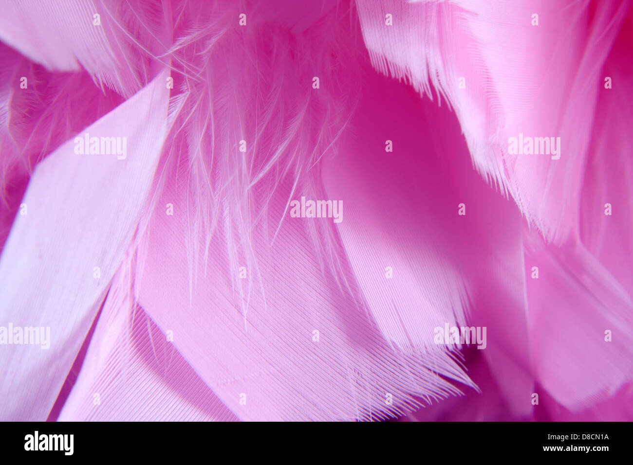 Close-up Texture Of Pink Feathers» del colaborador de Stocksy