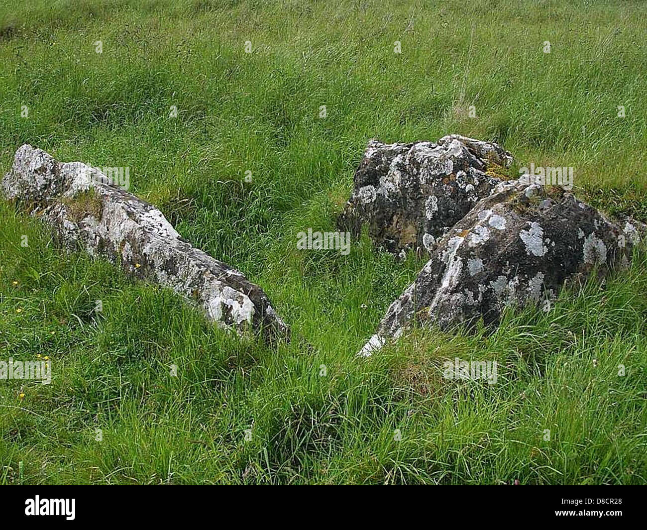 Ancient tombstones in Ireland, reflecting the rich history and cultural ...