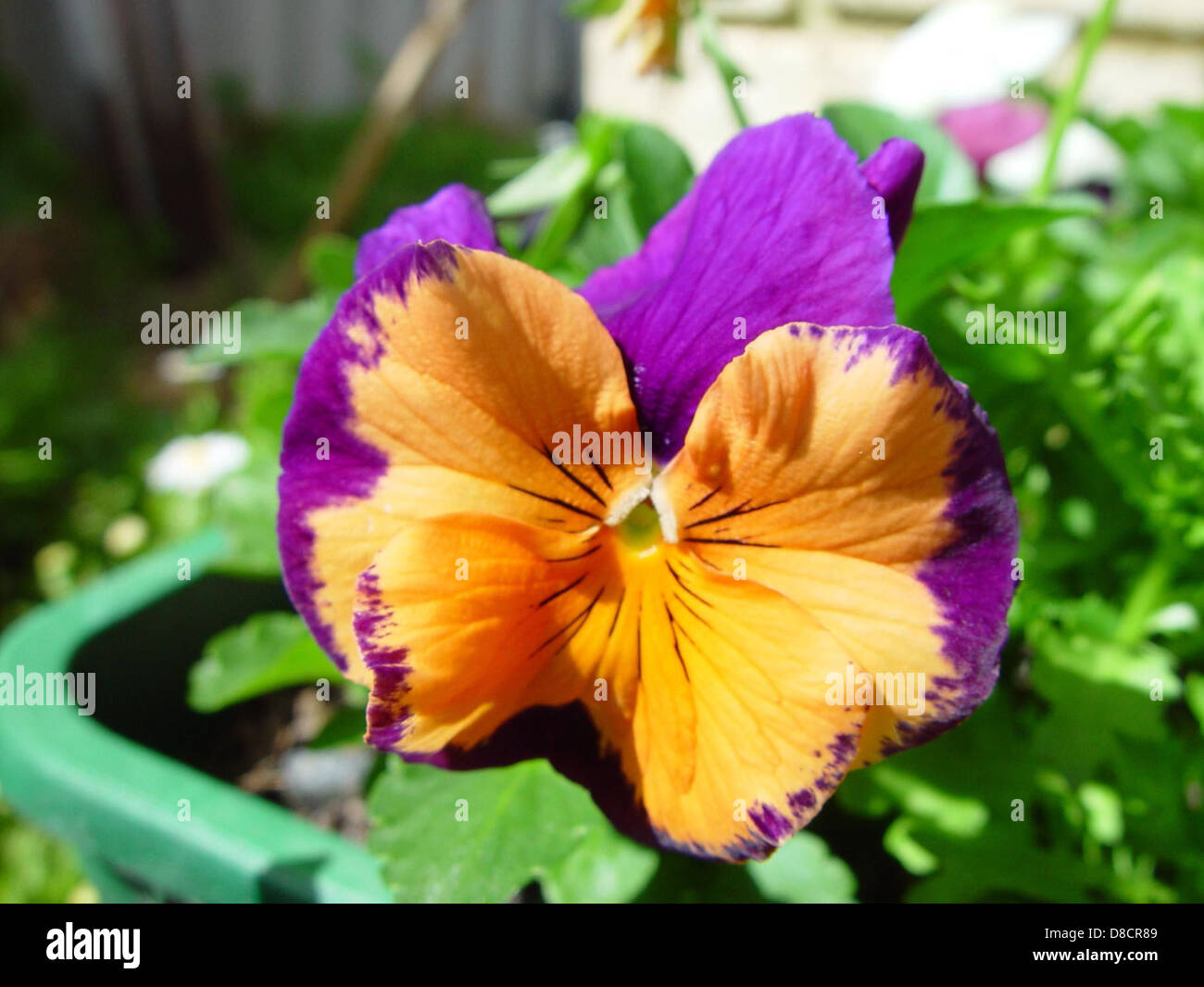 Joondalup perth hires stock photography and images Alamy