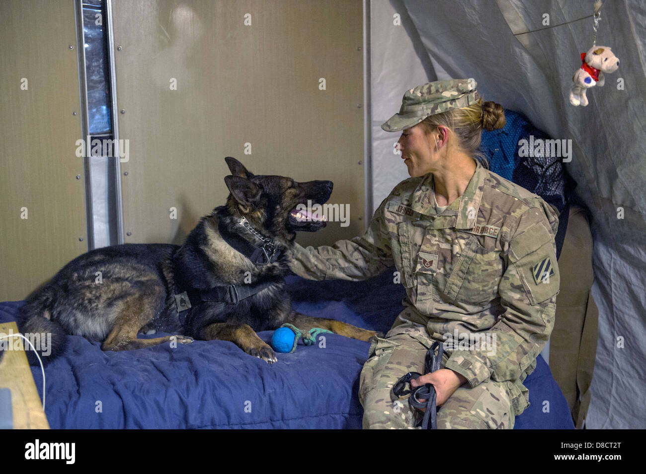 US Air Force Staff Sgt. Jessie Johnson, a military working dog handler with the 3rd Infantry Division and her dog, Chrach, rest after successfully completing explosives detection training April 24, 2013 in Kandahar province, Afghanistan. Stock Photo