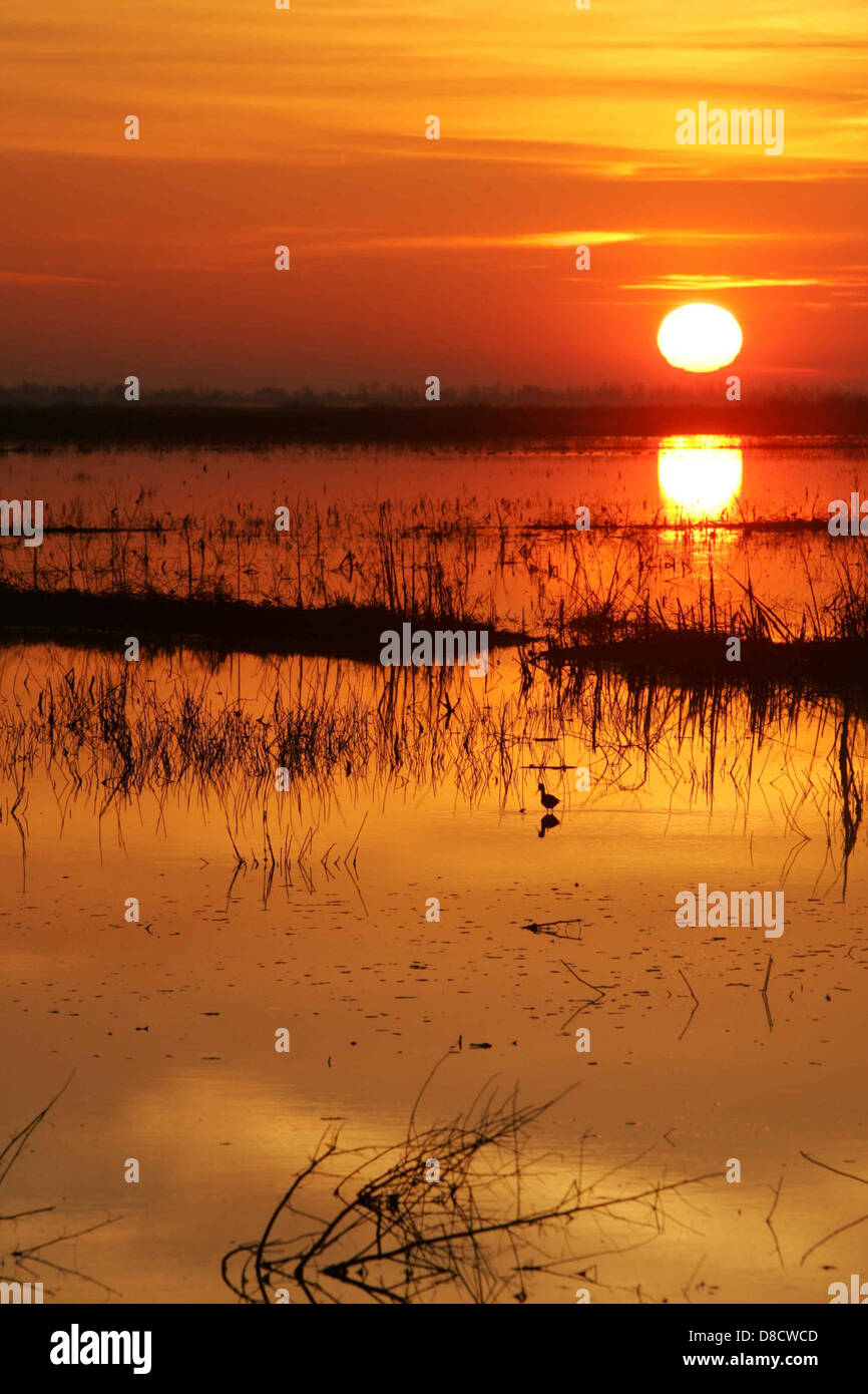 A stunning sunset casts a warm glow over a body of water, creating a ...
