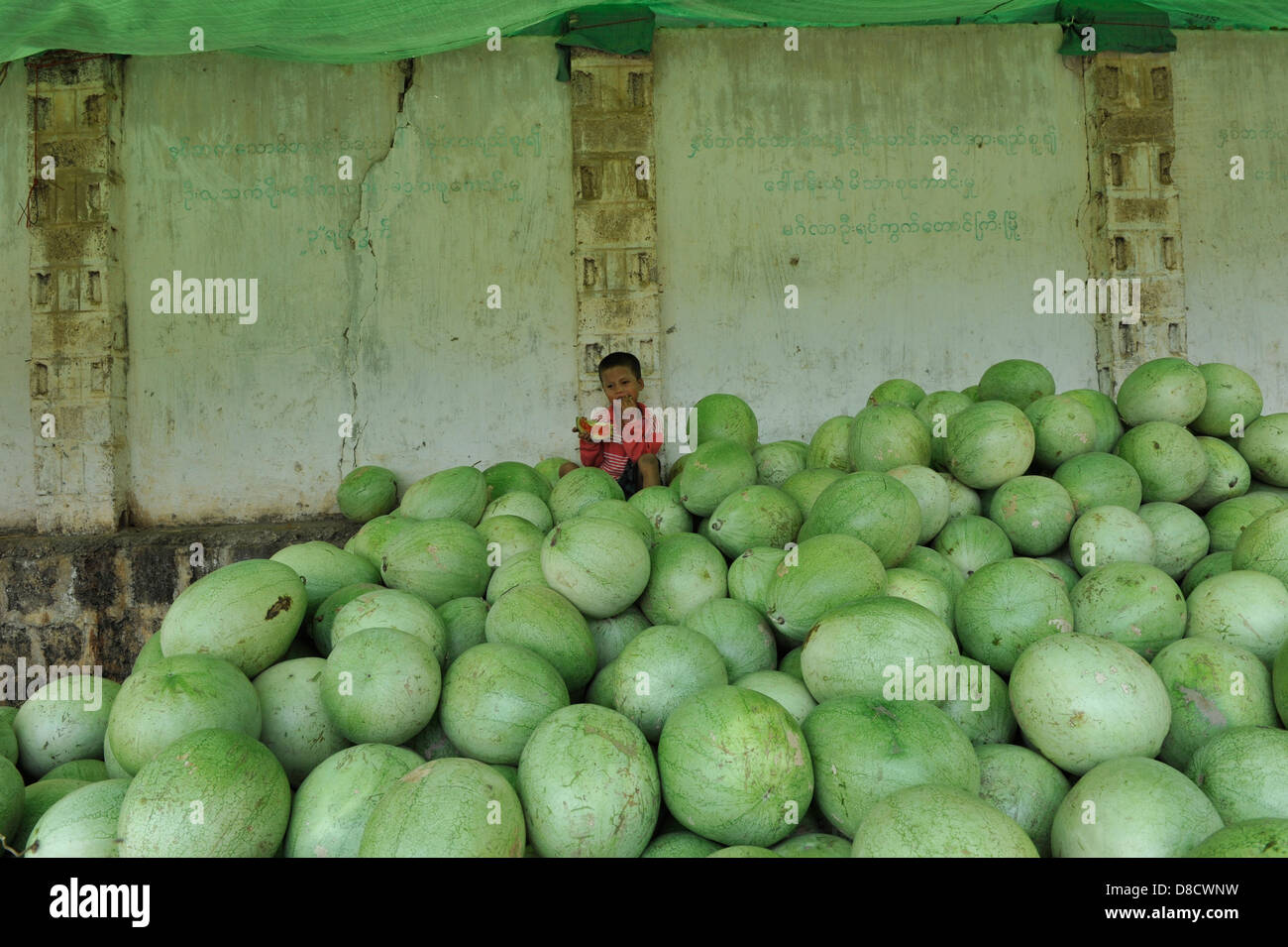 water melon little salesman at Aungban market Stock Photo Alamy