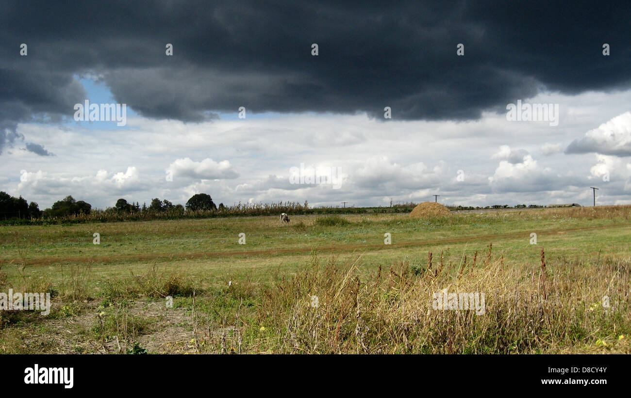 The dark clouds up to a thunder-storm and rain Stock Photo