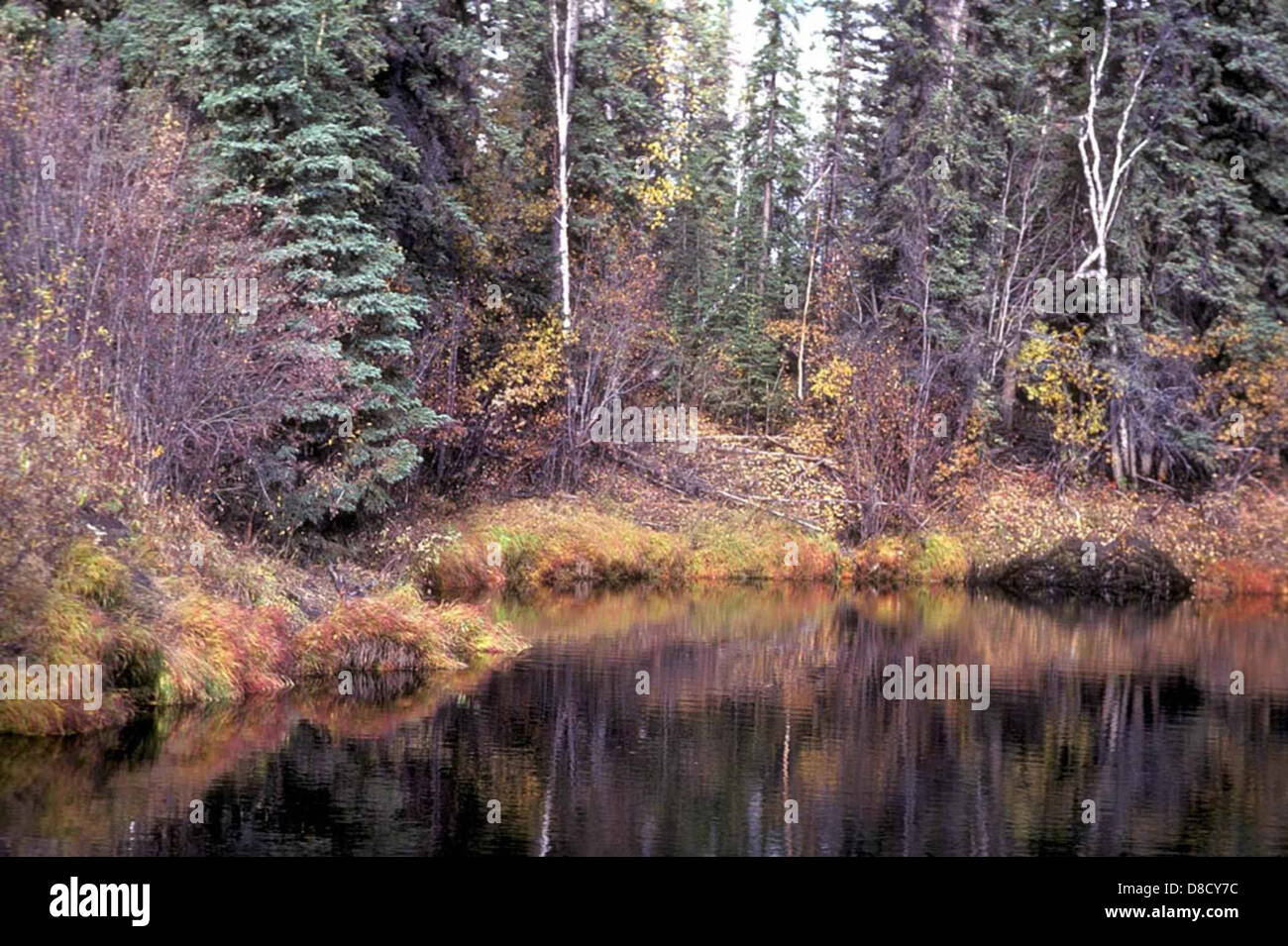A breathtaking landscape image, chosen for its beauty and visual impact ...