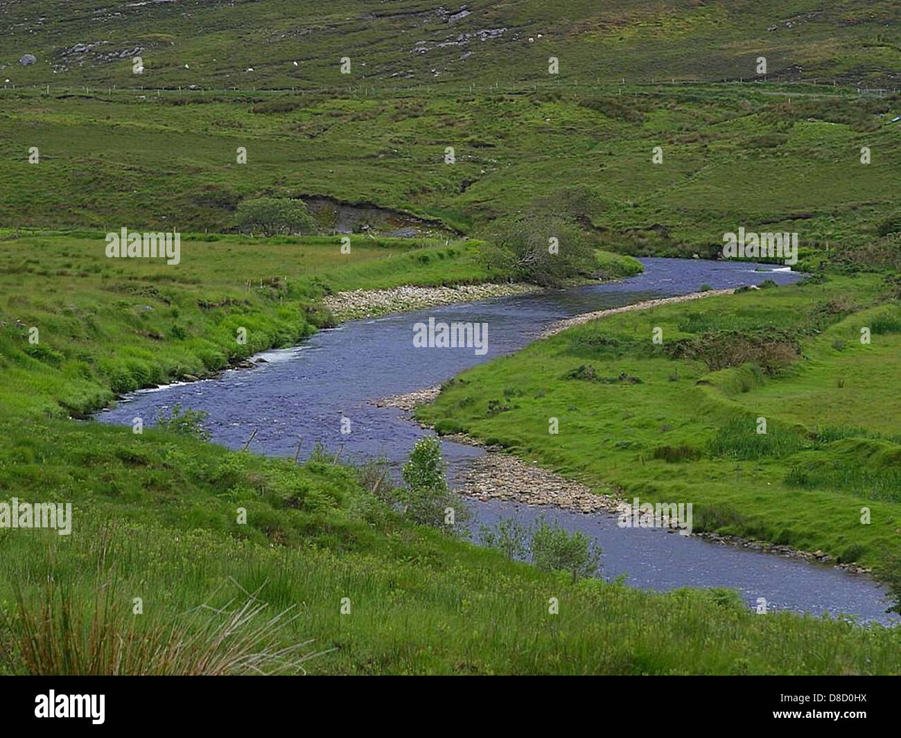 Glen river in Ireland Stock Photo Alamy