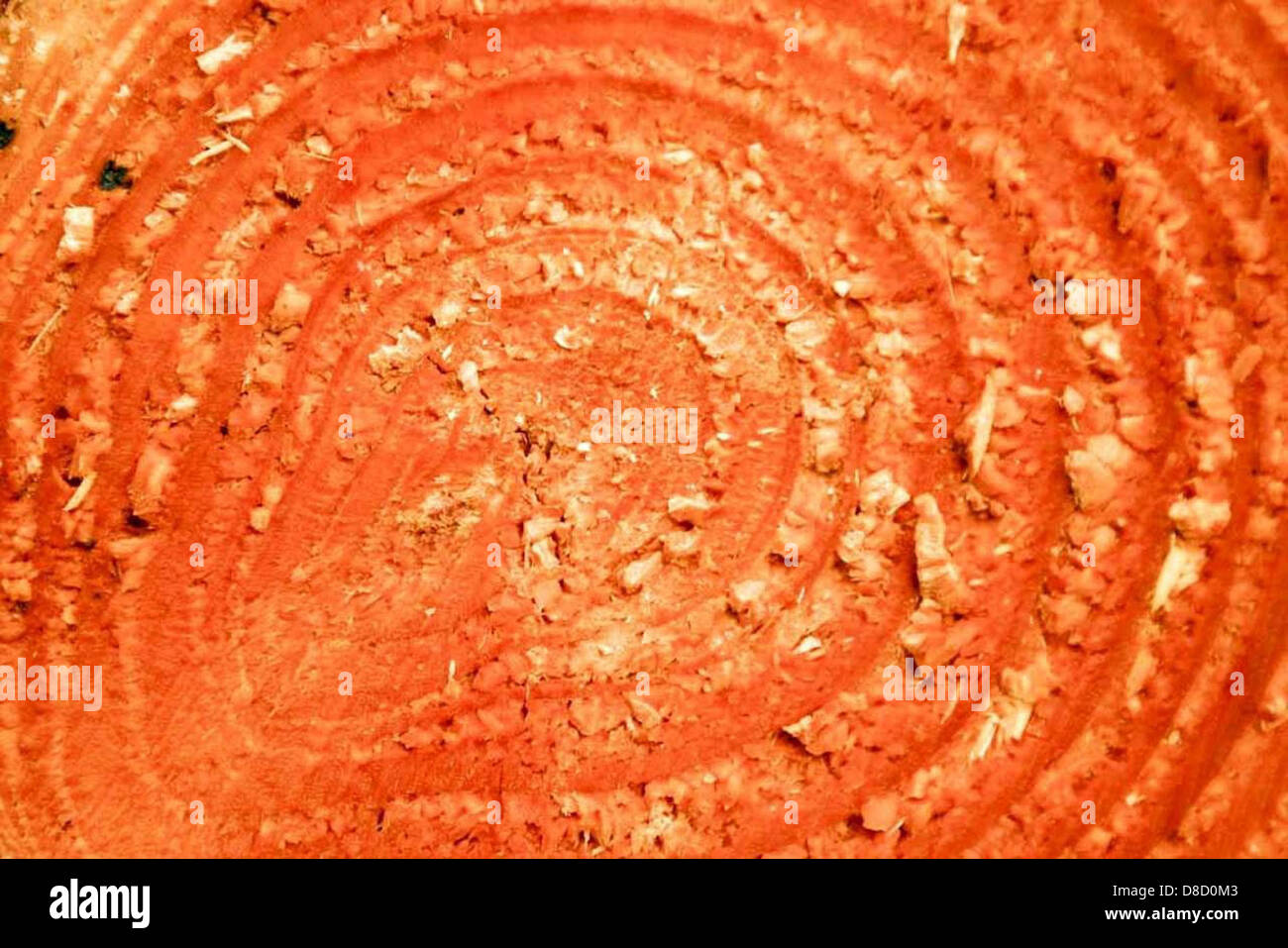Redwood Data Pattern Showcasing intricate natural grain patterns hi-res stock photography ...