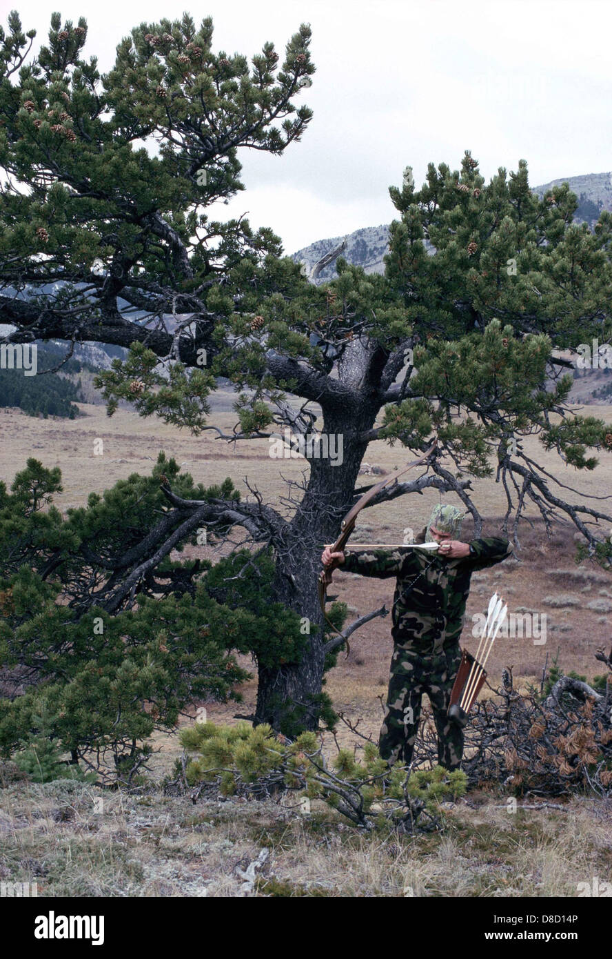 Hunting with recurve bow Stock Photo Alamy