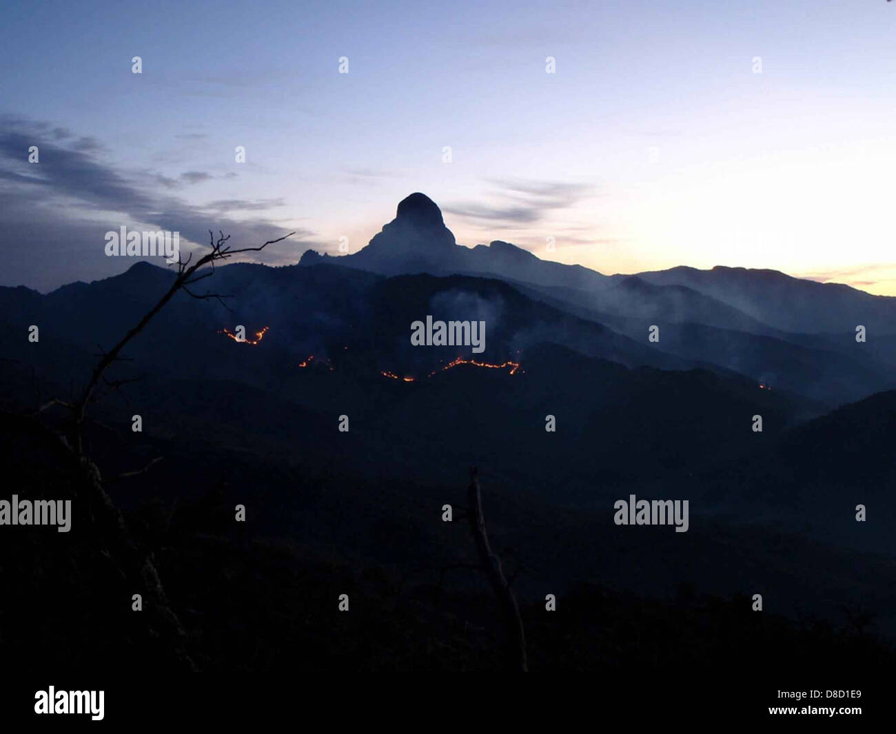 A fire burns brightly on a mountain, with flames contrasting against the dark sky. The scene captures the intensity and power of the fire, often associated with controlled burns or natural wildfires, playing a role in managing landscapes or regenerating ecosystems. Stock Photo