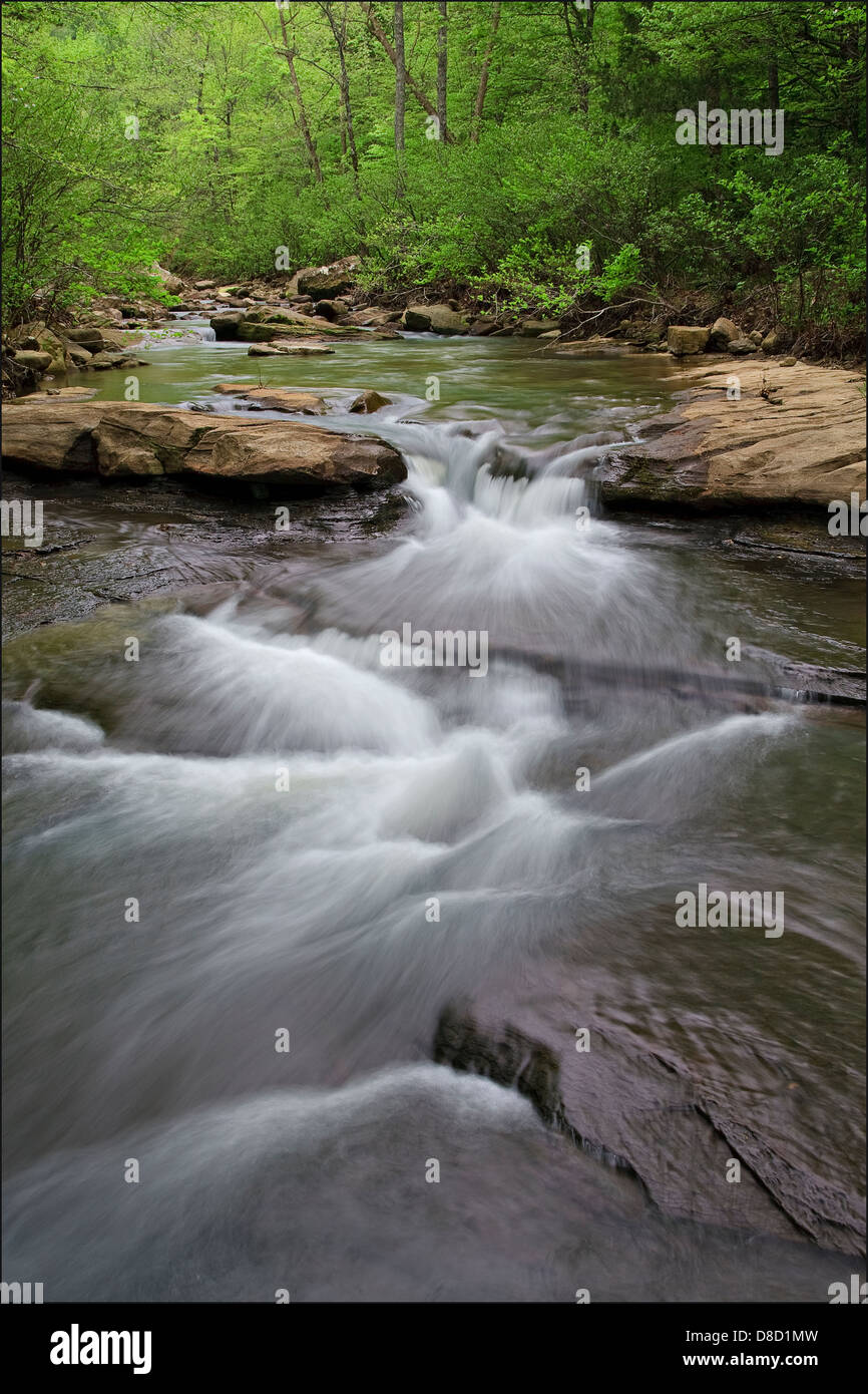 Stream cascading over rocks, Ozark National Forest, Arkansas, USA Stock Photo