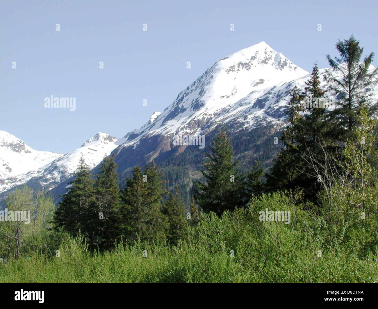 Kenai fjords national park Stock Photo Alamy