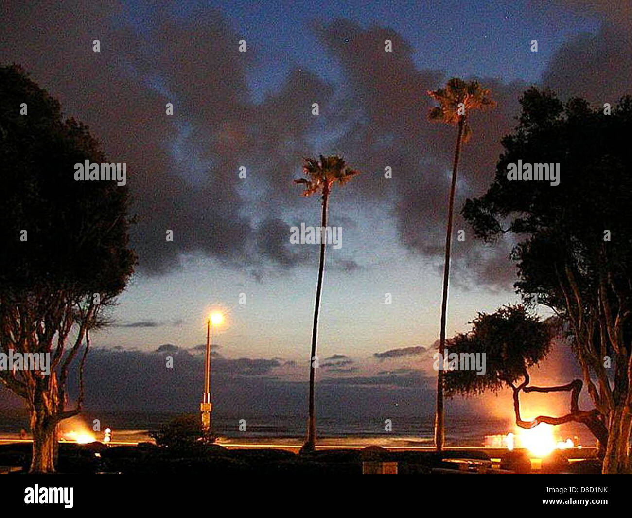 Ocean beach in sunset palm trees Stock Photo - Alamy